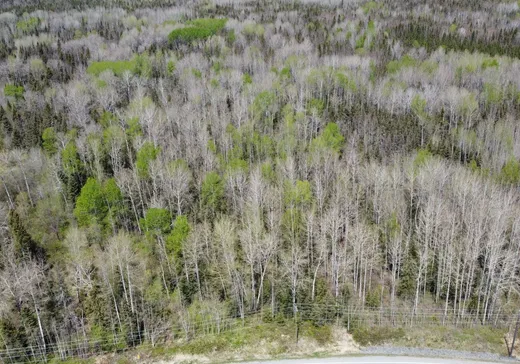 Terrain à vendre -  Av. du Lac, Preissac, J0Y 2E0