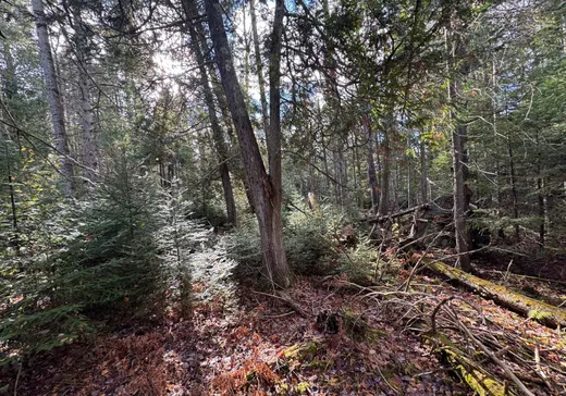 Terrain à vendre -  Rue des Bätisseurs, Sainte-Agathe-des-Monts, J8C 2Z8