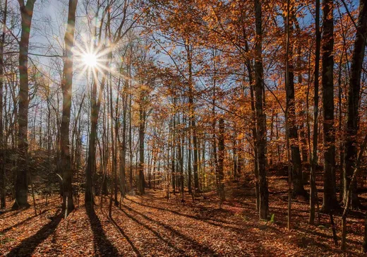 Land for Sale - 9 Rue Horse Shoe, Bolton-Est, J0E 1G0