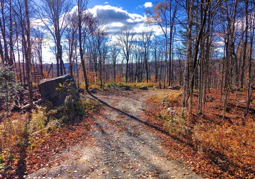 Terrain à vendre -  Ch. Éric, Sainte-Adèle, J8B 1L1