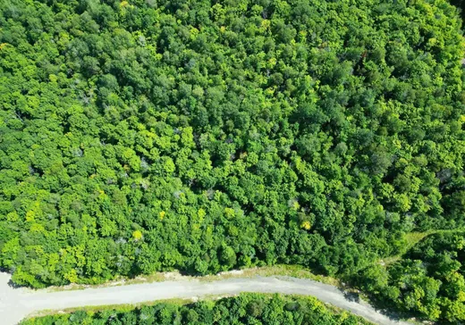 Land for Sale -  Rue des Outardes, St-Jean-De-Matha, J0K 2S0