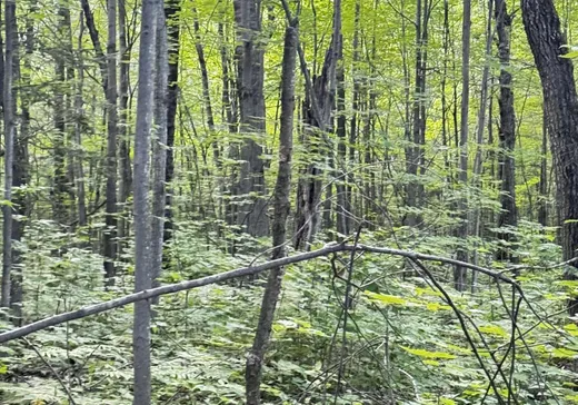 Terrain à vendre -  Ch. St-Roch, Terrebonne, J6Y 1C9