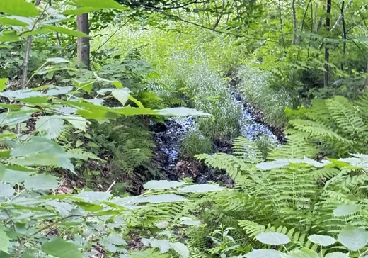 Terrain à vendre -  Ch. St-Roch, Terrebonne, J6Y 1C9