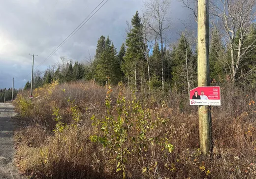 Terrain à vendre -  Rue des Bätisseurs, Sainte-Agathe-des-Monts, J8C2Z8