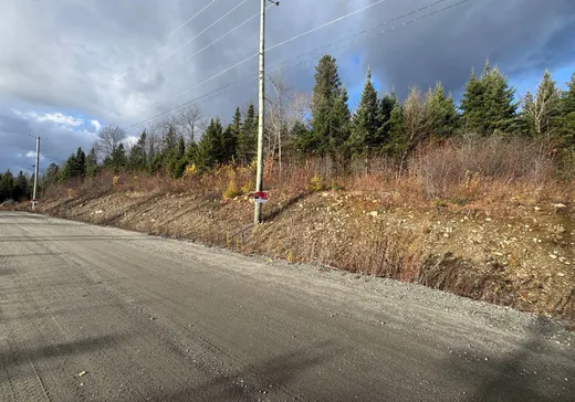 Terrain à vendre -  Rue des Bätisseurs, Sainte-Agathe-des-Monts, J8C 2Z8