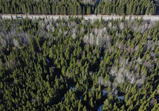 Land for sale - 44 Rue Principale, Saint-Francois-Xavier-de-Viger, G0L3C0