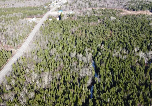 Land for Sale - 44 Rue Principale, Saint-Francois-Xavier-de-Viger, G0L 3C0