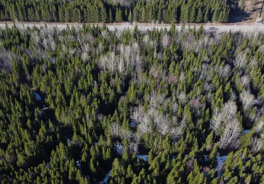 Land for Sale - 46 Rue Principale, Saint-Francois-Xavier-de-Viger, G0L 3C0