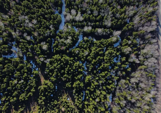 Land for Sale - 46 Rue Principale, Saint-Francois-Xavier-de-Viger, G0L 3C0