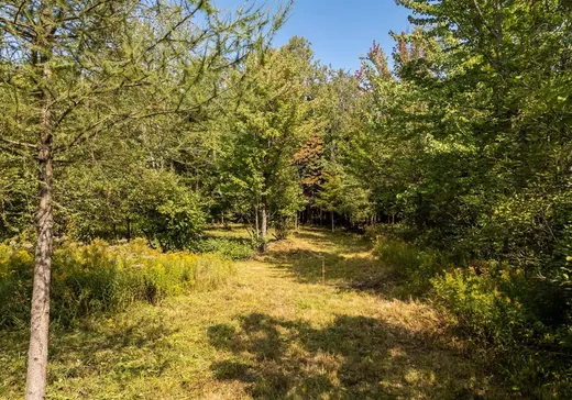Terrain à vendre - 1841 Ch. Fortin, Magog, J1X 0M7