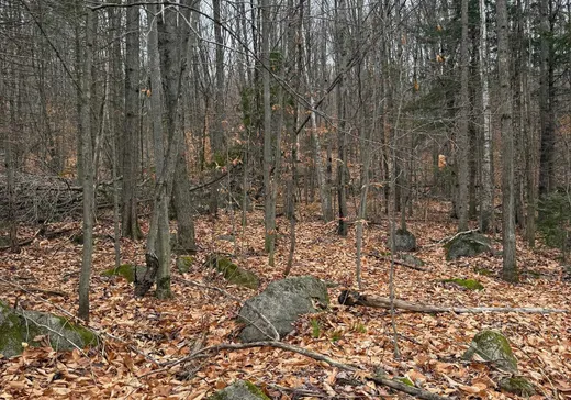 Terrain à vendre -  Ch. du Lac-Connelly, Sainte-Agathe-des-Monts, J8C 0H2