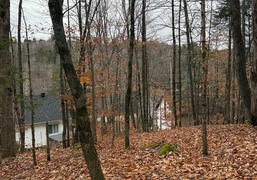 Terrain à vendre -  Ch. du Lac-Connelly, Sainte-Agathe-des-Monts, J8C 0H2