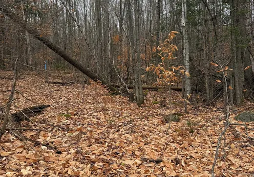 Terrain à vendre -  Ch. du Lac-Connelly, Sainte-Agathe-des-Monts, J8C 0H2
