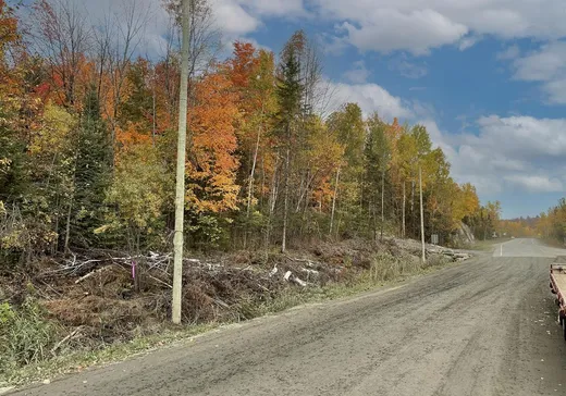 Terrain à vendre - 40 Ch. Vallières, Ste-Catherine-De-Hatley, J0B 1W0