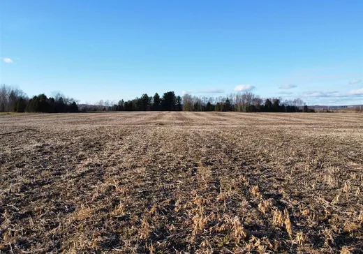 Land for Sale - X Rg St-Mathieu, Shawinigan, G9N 6T5