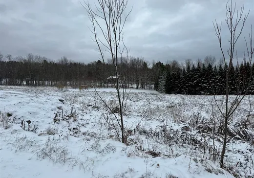 Terrain à vendre - X Rue Renard, Stratford, G0Y 1P0