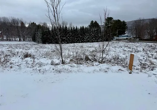 Terrain à vendre - X Rue Renard, Stratford, G0Y 1P0