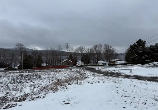 Terrain à vendre - X Rue Renard, Stratford, G0Y 1P0