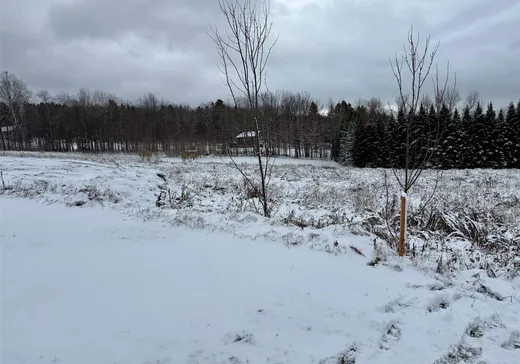 Terrain à vendre - X Rue Renard, Stratford, G0Y 1P0