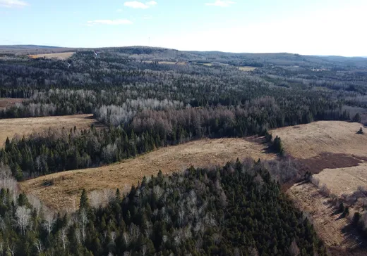 Terrain à vendre - 350 5e-et-6e Rang E., Saint-Pierre-de-Lamy, G0L 4H0