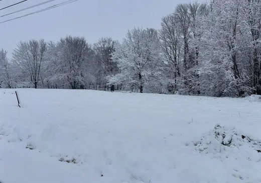 Terrain à vendre - 3 Rue du Verger, Warwick, J0A 1M0