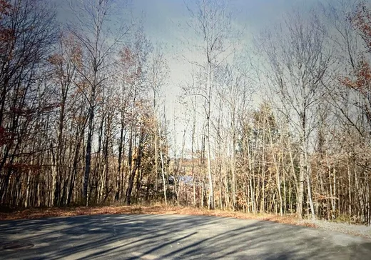 Terrain à vendre - 108 Rue de la Montagne, Val des Sources, J1T 3M7