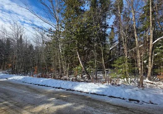 Terrain à vendre -  Ch. du Domaine, Notre-Dame-de-la-Merci, J0T 2A0