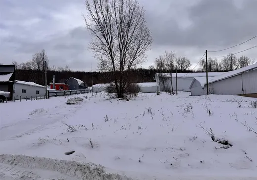 Land for sale - X Ch. Laurier, Norbertville, G0P1B0