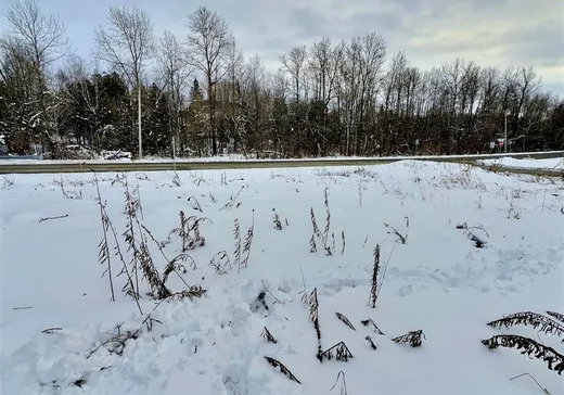 Land for Sale - 242 Rue des Mésanges, Victoriaville, G6T 1E2