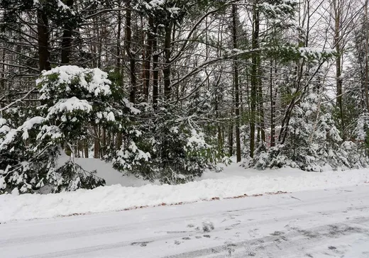 Land for Sale - 2885 Rue du Canot, Drummondville, J2B 8T6