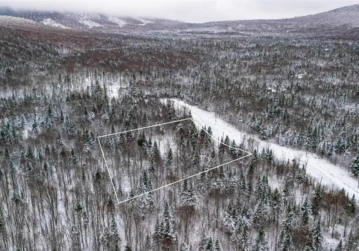 Land for Sale - 53 Ch. du Mélèze, Notre-Dame-Des-Boies, J0B 2E0