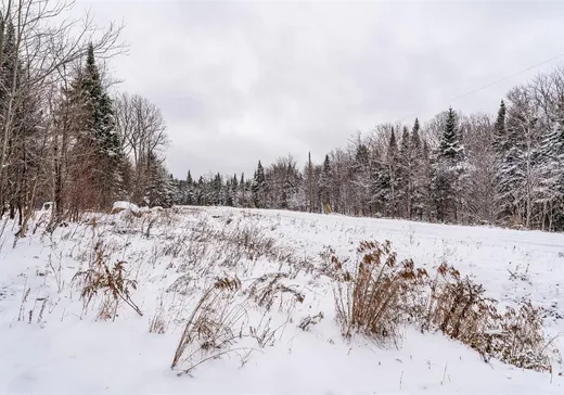 Land for Sale - 53 Ch. du Mélèze, Notre-Dame-Des-Boies, J0B 2E0