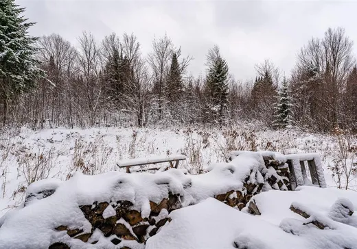 Land for Sale - 53 Ch. du Mélèze, Notre-Dame-Des-Boies, J0B 2E0