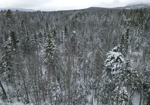 Land for Sale -  Ch. de Vale Perkins, Mansonville, J0E 1X0