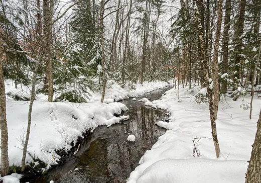 Terrain à vendre -  Rue du Canard, Magog, J1X0M6