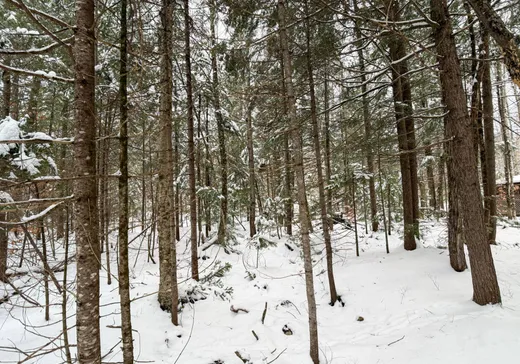 Terrain à vendre -  Rue du Canard, Magog, J1X 0M6
