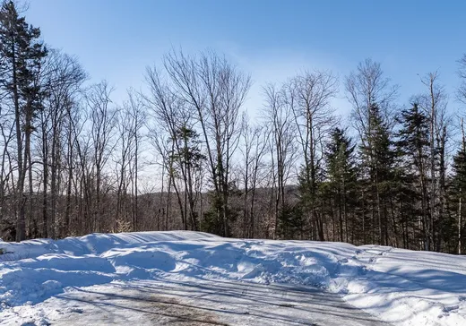 Land for Sale -  Ch. du Sanctuaire, Saint-Sauveur, J0R 1R1