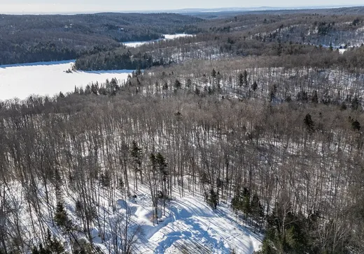 Land for Sale -  Ch. du Sanctuaire, Saint-Sauveur, J0R 1R1