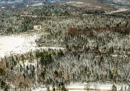 Terrain à vendre -  Rue de Chandolin, Val David, J0T 2N0