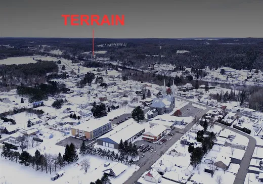 Terrain à vendre - 1 Route 352, St-Adelphe-De-Champlain, G0X 2G0