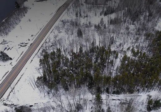 Terrain à vendre - 1 Route 352, St-Adelphe-De-Champlain, G0X 2G0