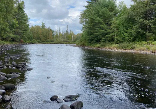 Land for Sale -  Av. Ouareau, Chertsey, J0K 3K0