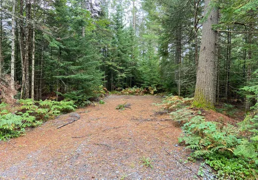 Land for Sale -  Av. Ouareau, Chertsey, J0K 3K0