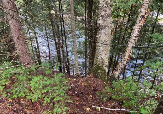 Land for Sale -  Av. Ouareau, Chertsey, J0K 3K0