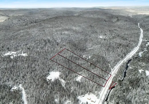 Terrain à vendre - 1219 Ch. Picanoc, Otter Lake, J0X2P0