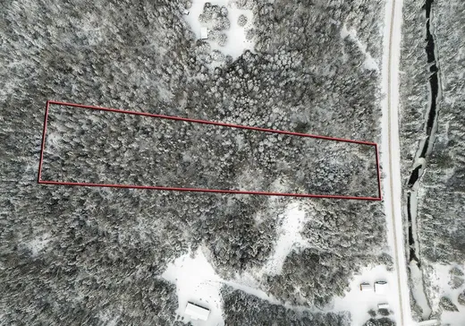 Terrain à vendre - 1219 Ch. Picanoc, Otter Lake, J0X 2P0