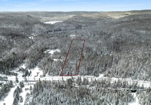 Terrain à vendre - 1219 Ch. Picanoc, Otter Lake, J0X 2P0