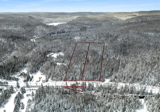 Terrain à vendre - 1227 Ch. Picanoc, Otter Lake, J0X2P0