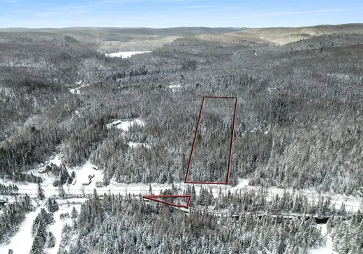 Terrain à vendre - 1227 Ch. Picanoc, Otter Lake, J0X 2P0