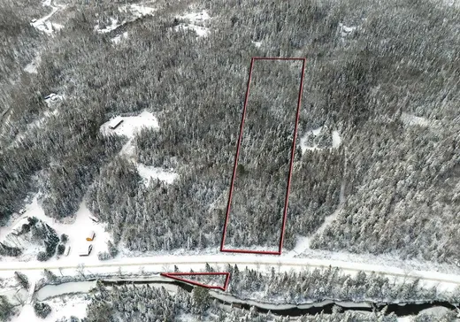 Terrain à vendre - 1227 Ch. Picanoc, Otter Lake, J0X 2P0